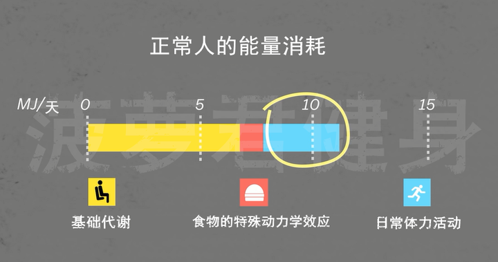 以上是正常人一天的能量消耗的比例.