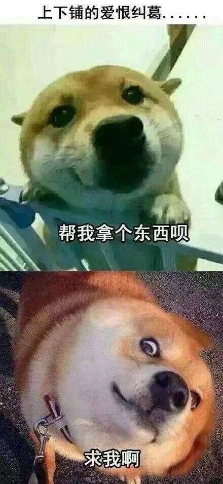 有哪些让人笑到肚子疼的搞笑图片?