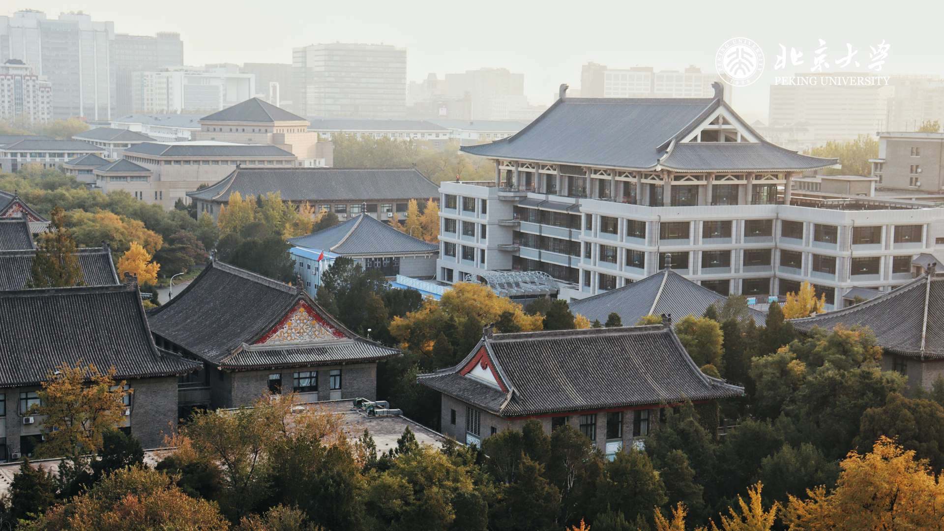 陈sir 知乎