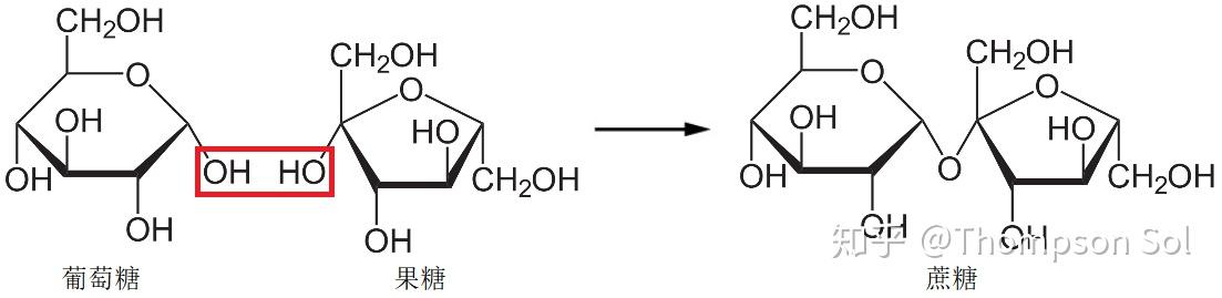 麦芽糖有醛基因此有还原性为什么在麦芽糖结构式中找不到醛基啊蔗糖