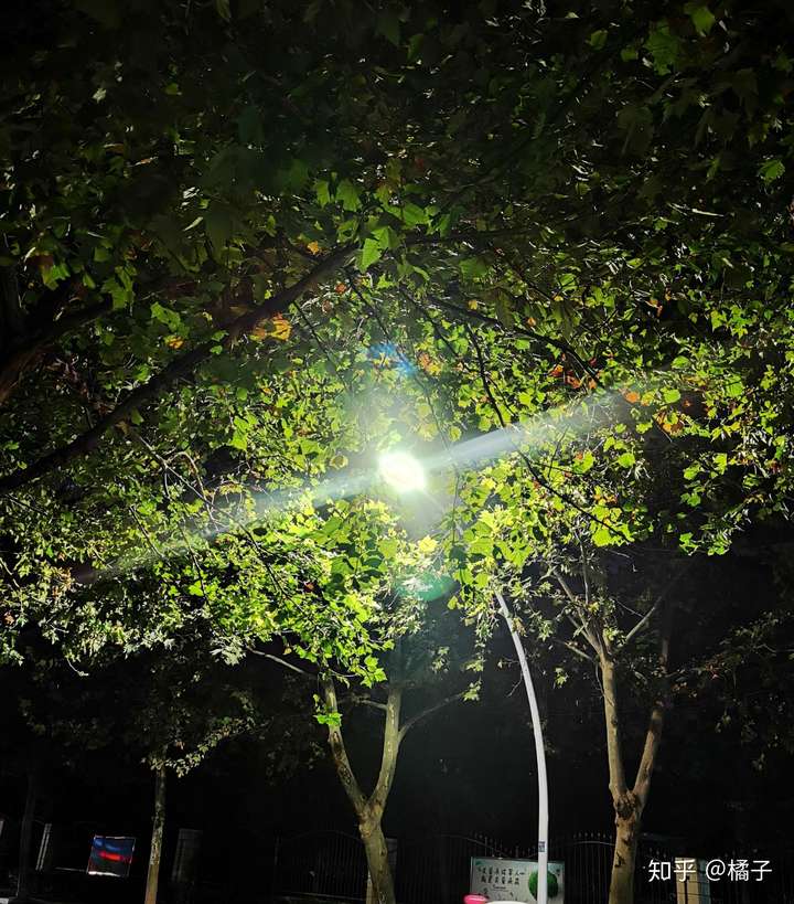 现在,每天晚上出去看看路灯听听歌 越来越享受孤独所带来的宁静.