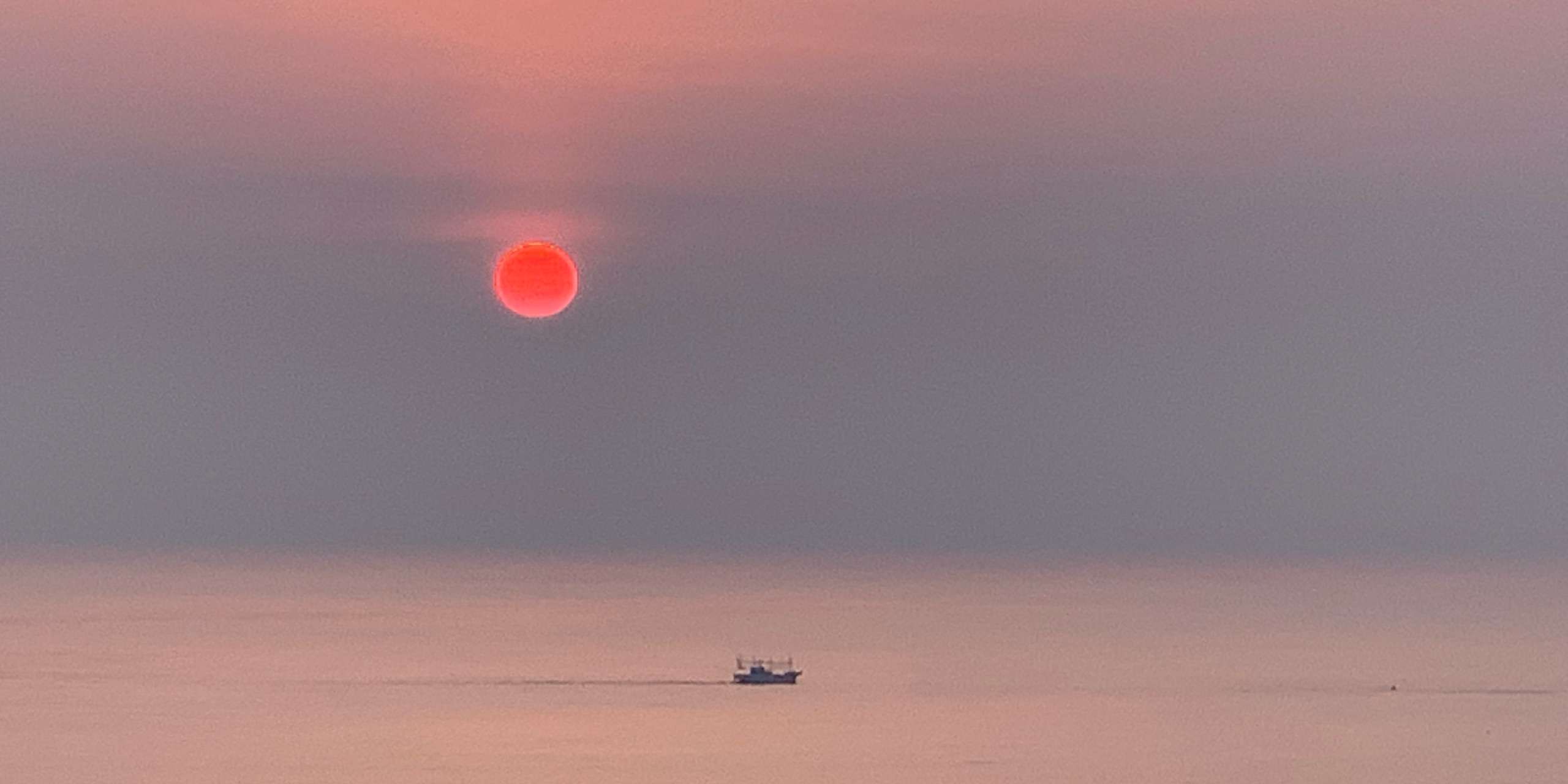 沁沁- 知乎