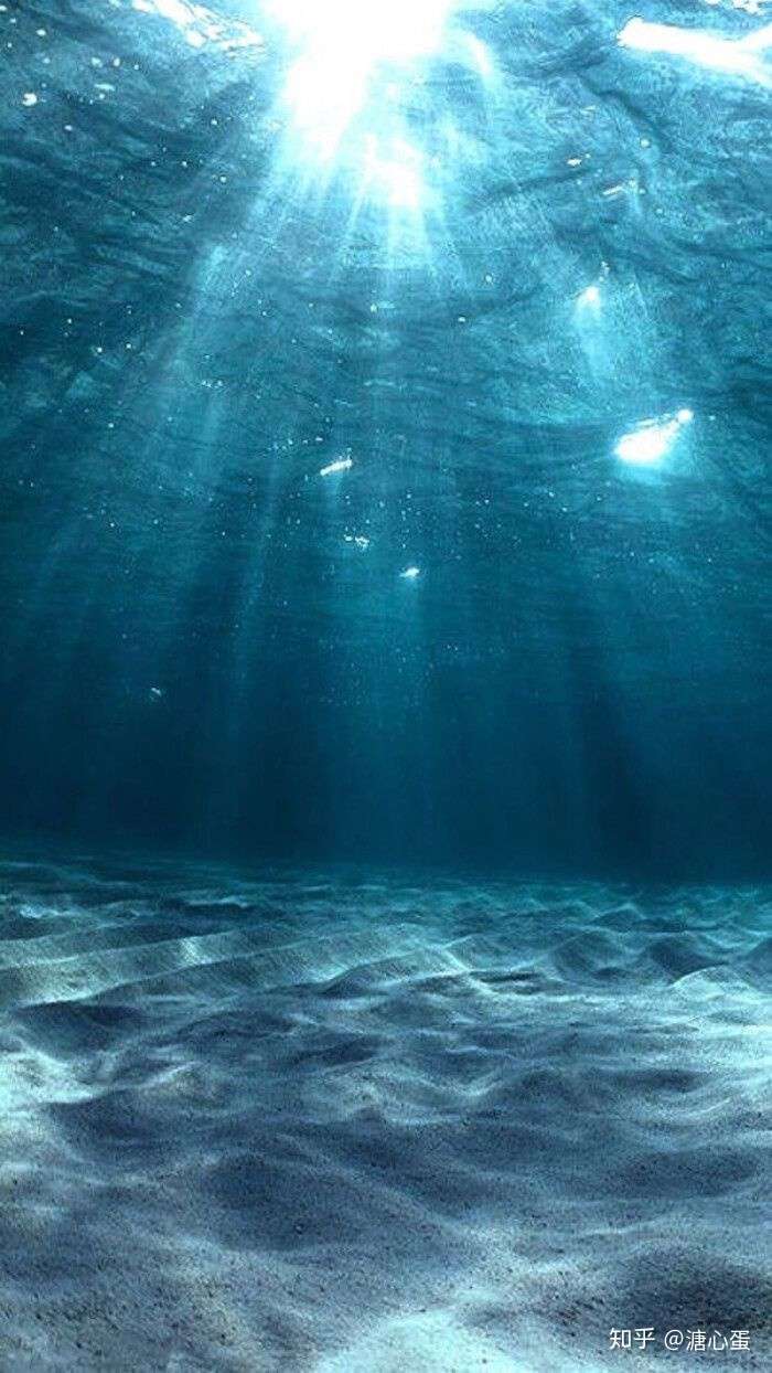 一起坠入深海里  看悠闲游荡的鱼~           