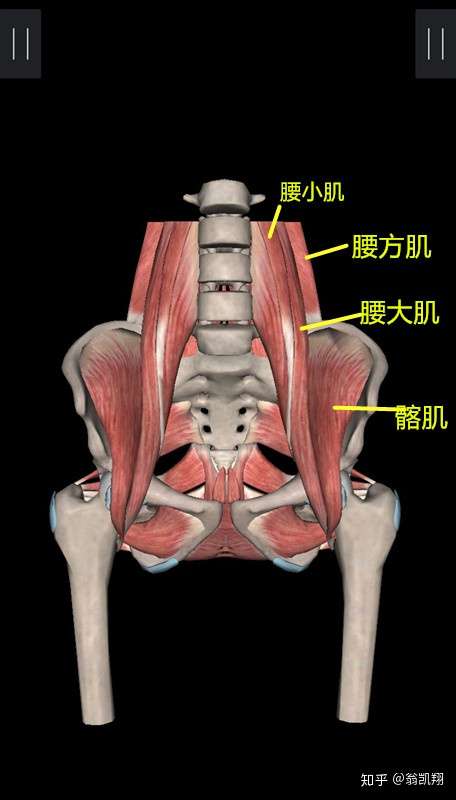 腰肌劳损真的能根治吗?