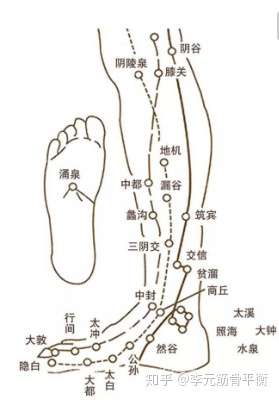 按摩脚底对健康真有好处吗,有科学依据吗?