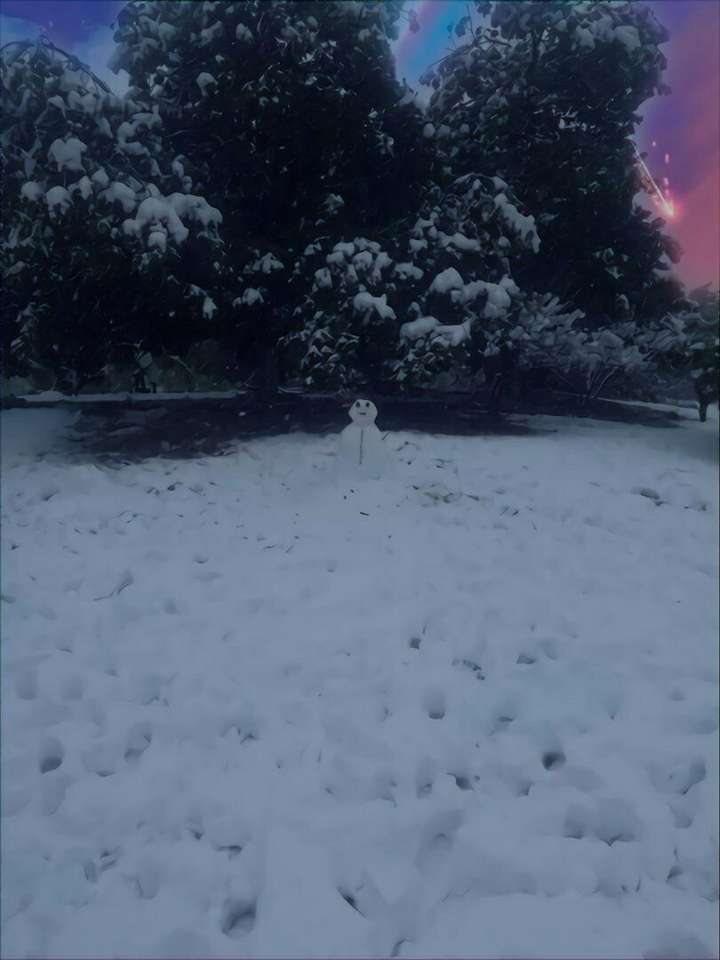 附一张自己拍得雪人,一个人也很美