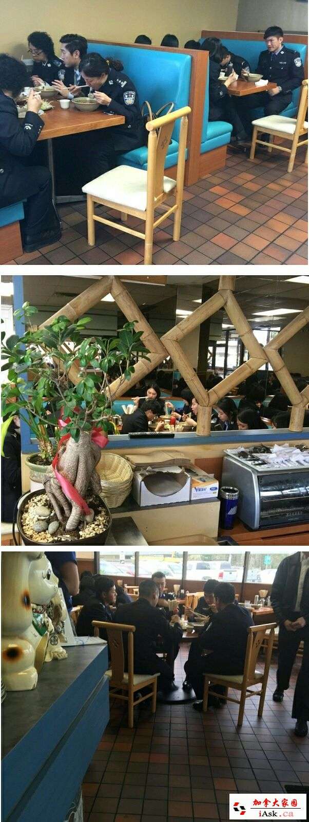 如何看待加拿大真人秀节目《公主我最大》,预告片里她们体现出来的