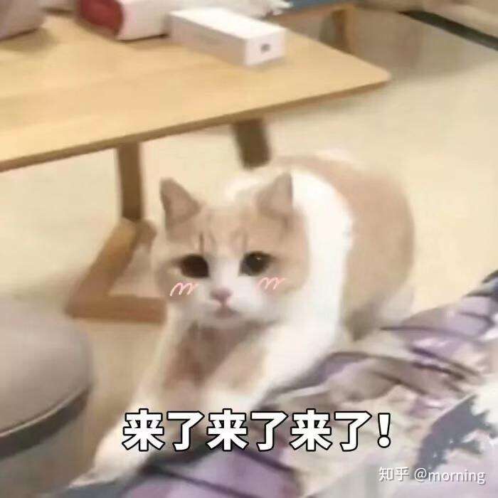 凑图镇楼&表情包源于网络) 真的来了 鸡皮疙瘩不负责… 密密麻麻的
