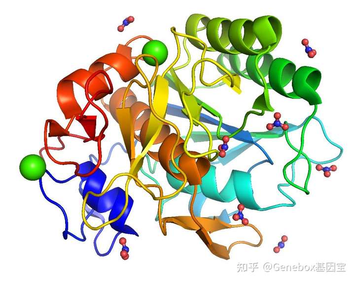 一种酶的空间结构