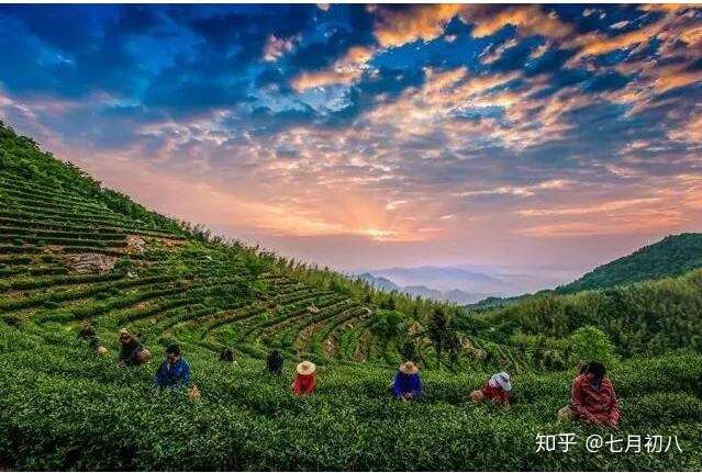 可根据茶园的位置,搭配特色旅游,如"祁门牯牛降-牯牛降历溪-祁门红茶"