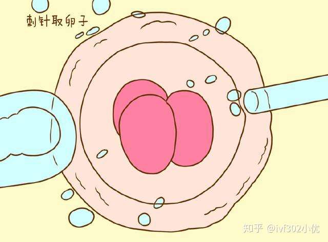 ②内分泌异常