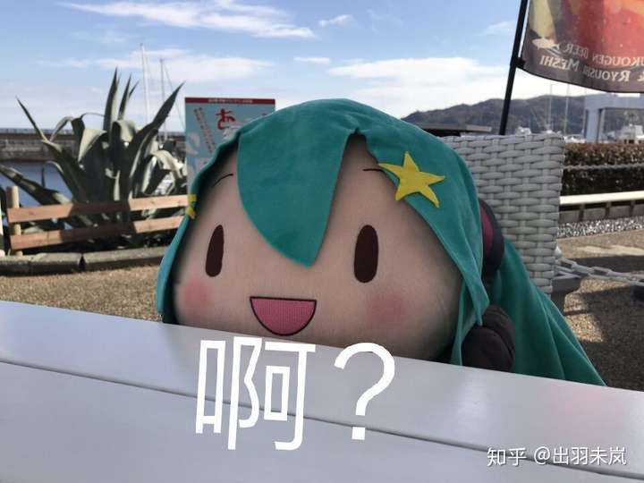 初音未来的布偶为什么被称为傻fufu?