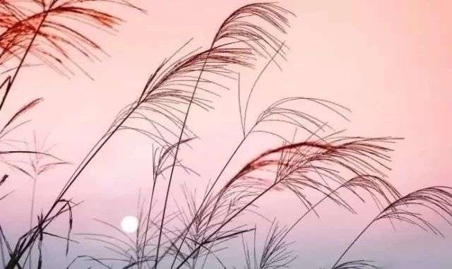 人最高尊严,在于他的思想