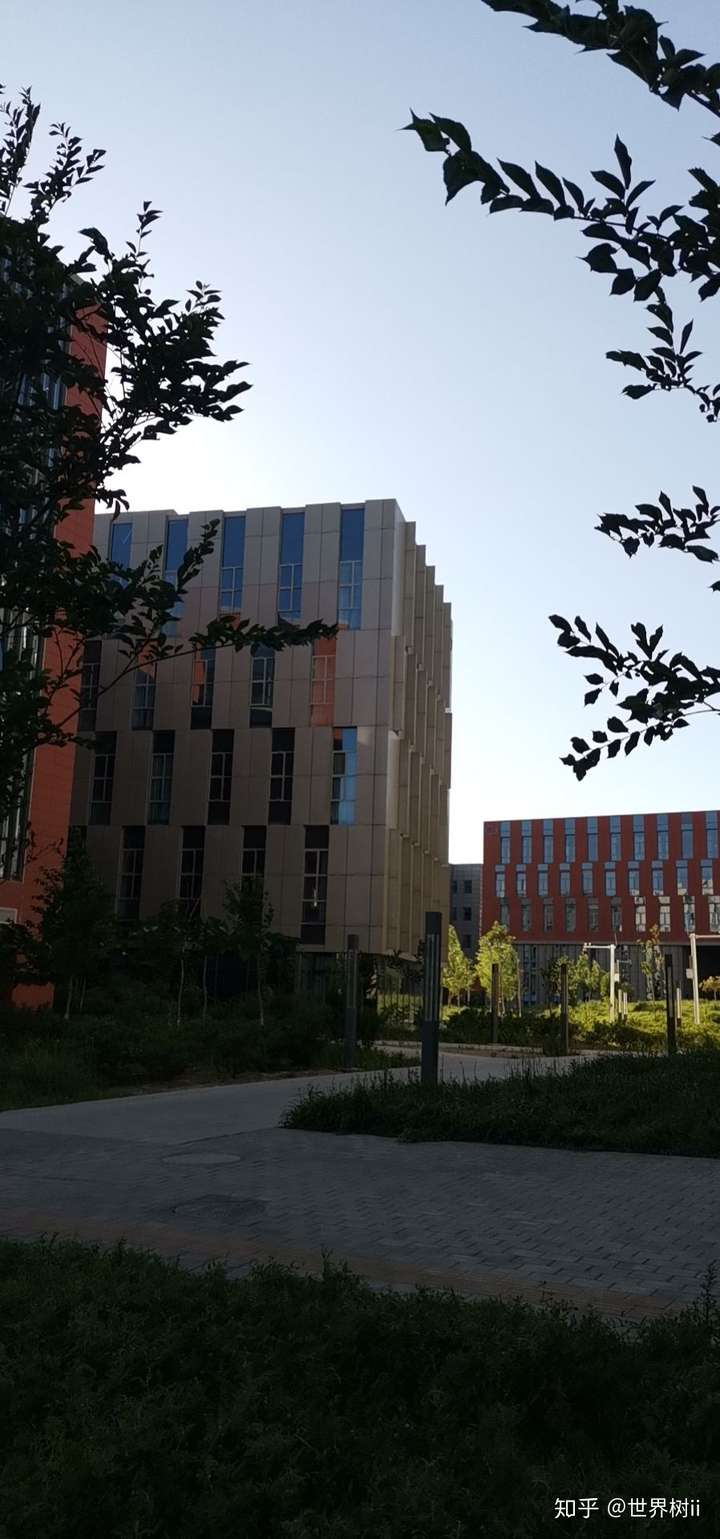 中国石油大学(北京)克拉玛依校区的校园环境如何?