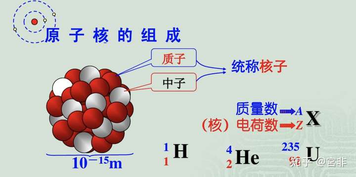 原子核的结构是什么样的