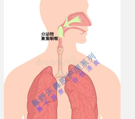 为什么有许多人喜欢从鼻子不断地喷气发出吭吭的声音?