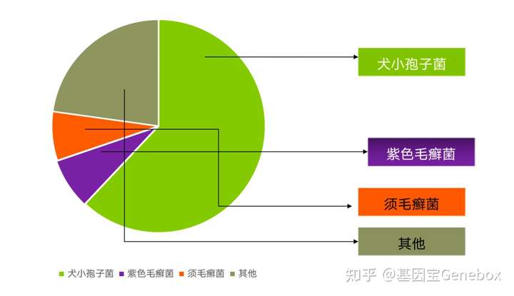 我国常见的病原菌包括犬小孢子菌,断发毛癣菌,紫色毛癣菌等.