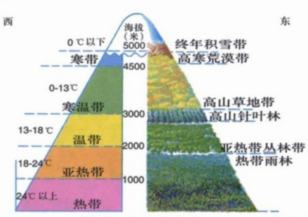 这张图,叫做垂直气候分带.