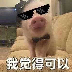 表情包我觉得可以