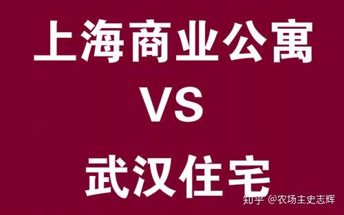 上海loft公寓vs武汉住宅
