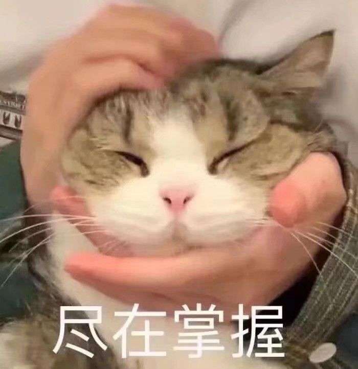 男生发猫猫狗狗的可爱表情包会是渣男吗?为什么?