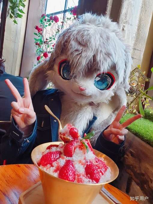 如何说服家长同意买一件17000rmb的fursuit(兽装?