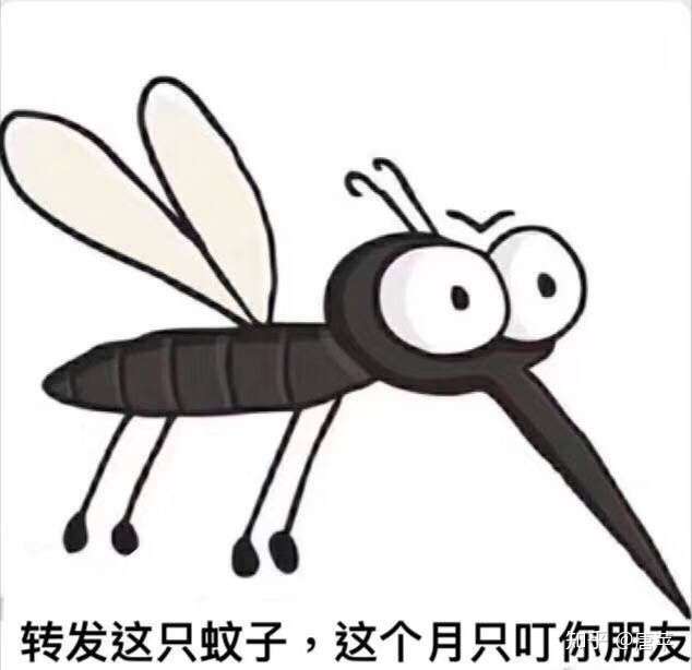 怎么有效的避免蚊子叮咬与缓解蚊子叮咬之后的的巨包?