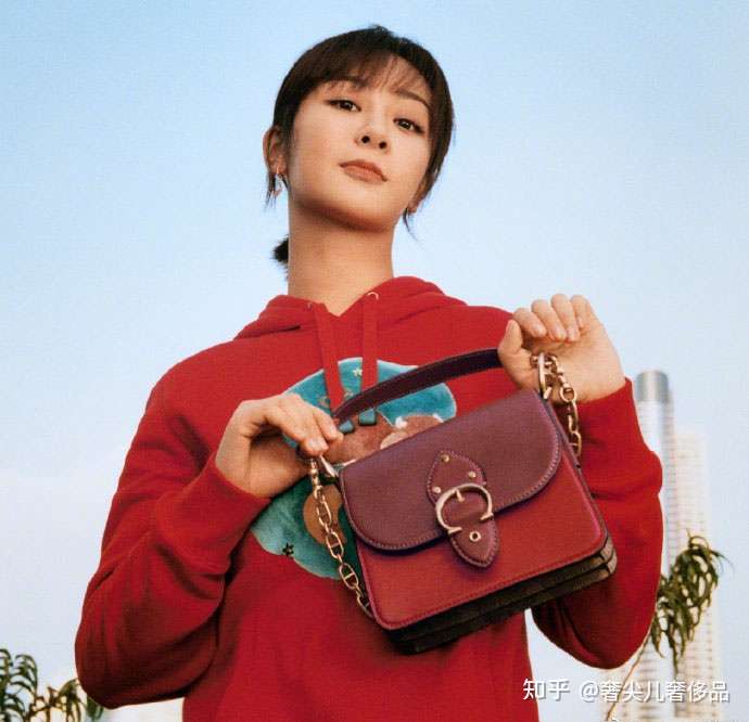 coach(蔻驰)马鞍包