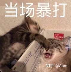 王不二尴尬的社死经历