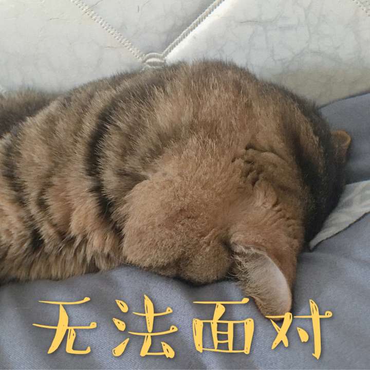没想到年纪轻轻就过上了中年人的生活啊.