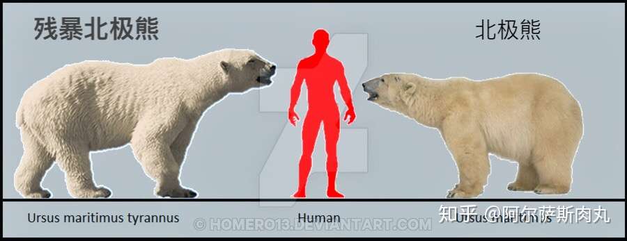 极地暴君残暴北极熊ursusmaritimustyrannus