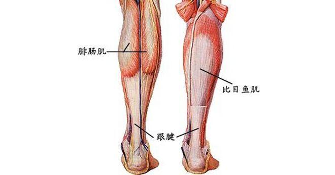 有哪些错到离谱但大部分人却信以为真的事?