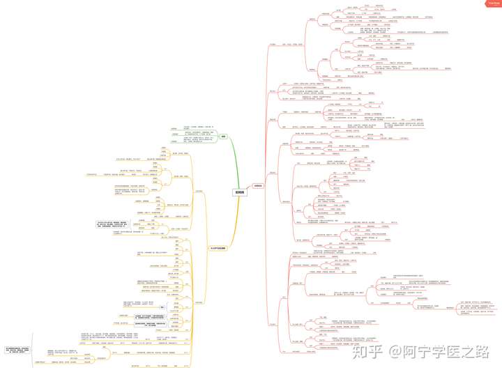 中医经典《伤寒论》思维导图笔记