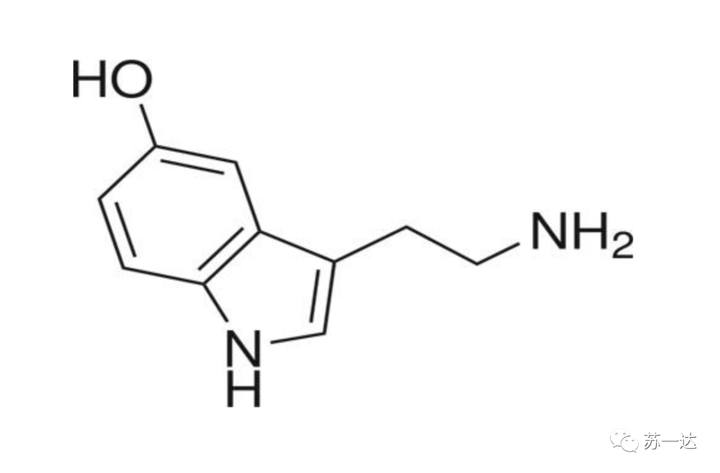 血清素(英语:serotonin,全称血清张力素,又称5-羟色胺和血清胺,简称为