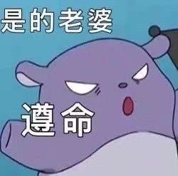 【巴库老婆奴表情包】第三弹