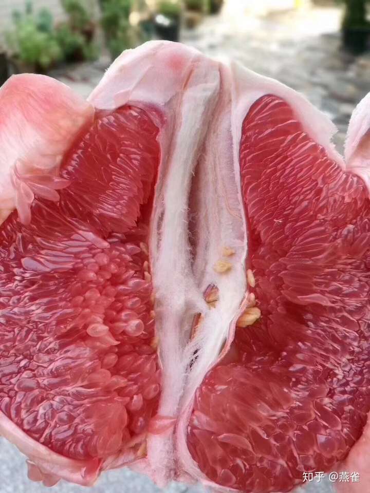 红心柚子的皮是红色的吗?