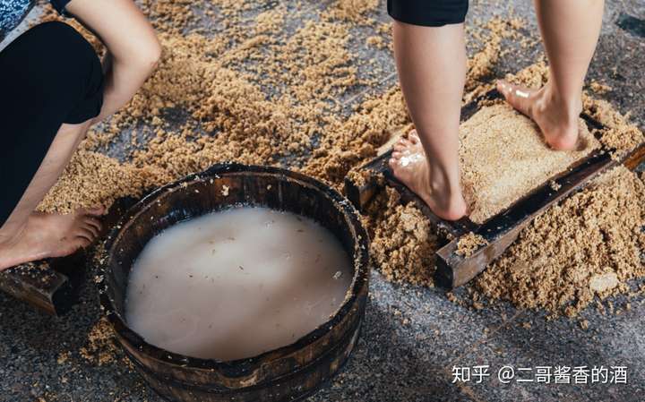 茅台酒踩曲一定要年轻女子来踩吗?