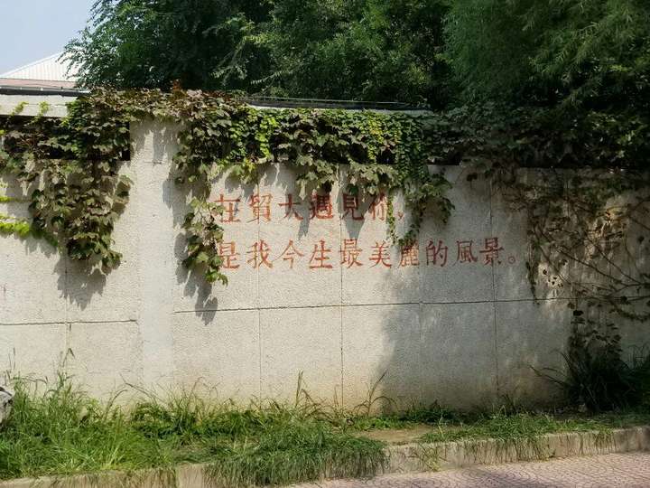 保险专硕考396的学校 对外经贸保险专硕