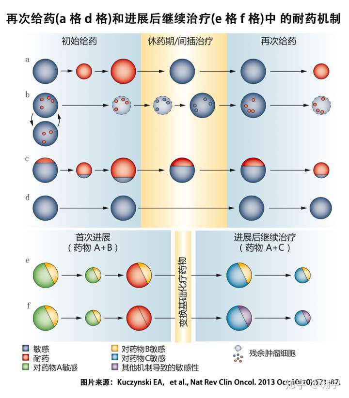 靶向治疗期间间隔穿插化疗,延长耐药时间