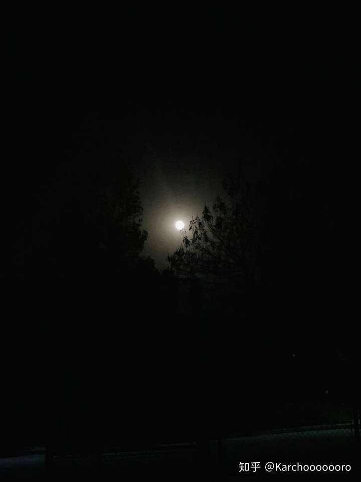 昨天晚上跑步时拍到的月亮