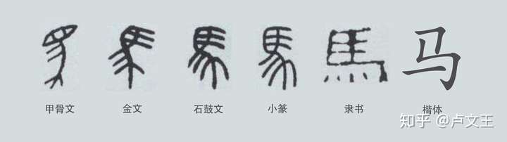 我们都知道汉字是象形文字,从最初的外形模仿而来,比如:马 从甲骨文