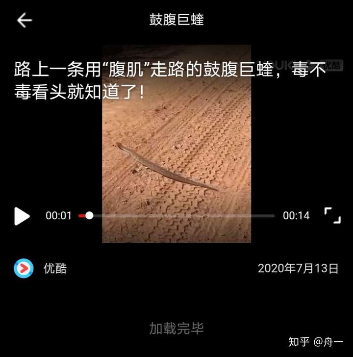 哈哈哈昨天晚上无意间刷到一个抖音视频,一个男的住院,说是被菜花蛇咬