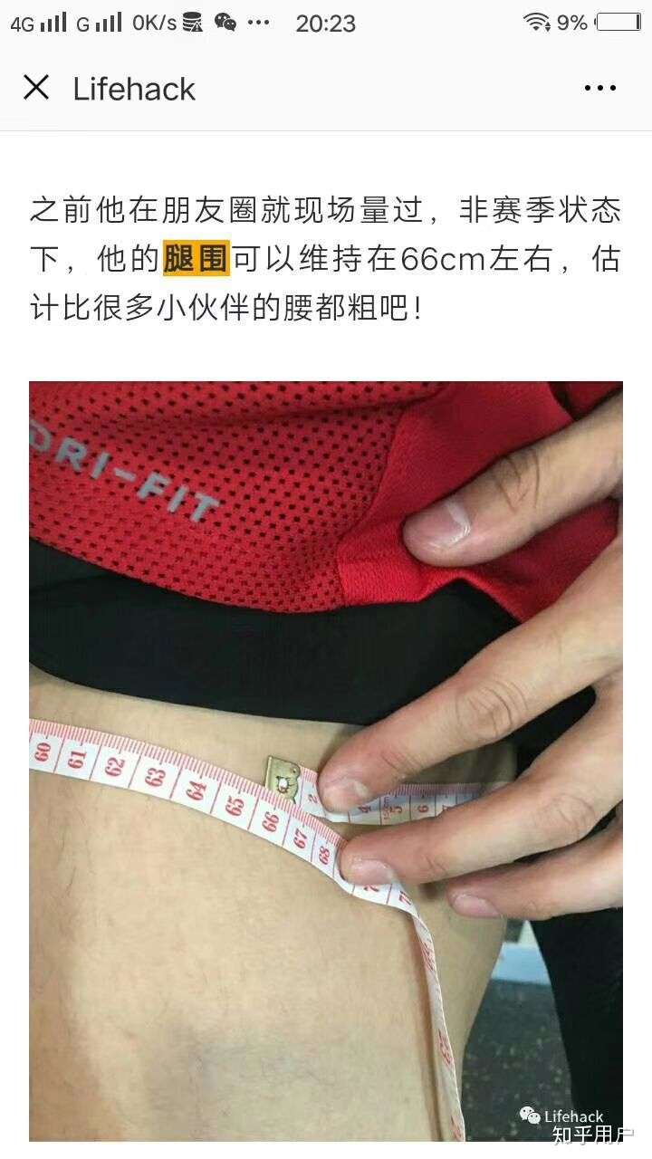 体重140体育生小腿围度最胖的地方38cm大腿最胖的54cm.腿长85我胖吗?