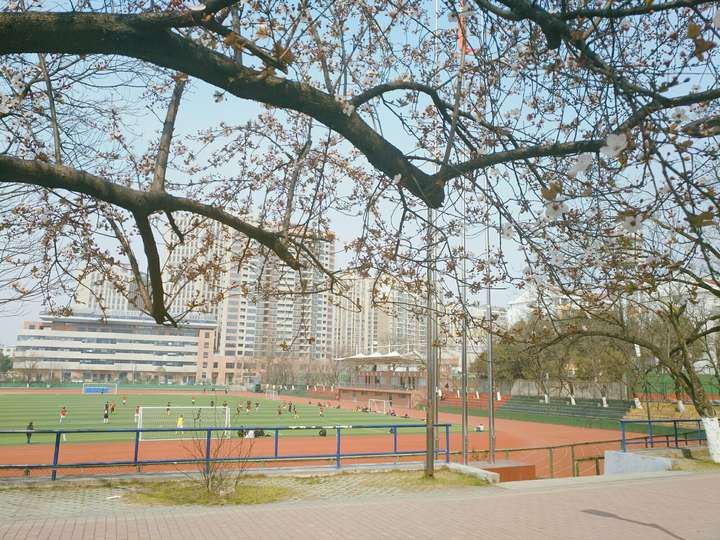 浙江农林大学,安徽农业大学的研究生哪个好?