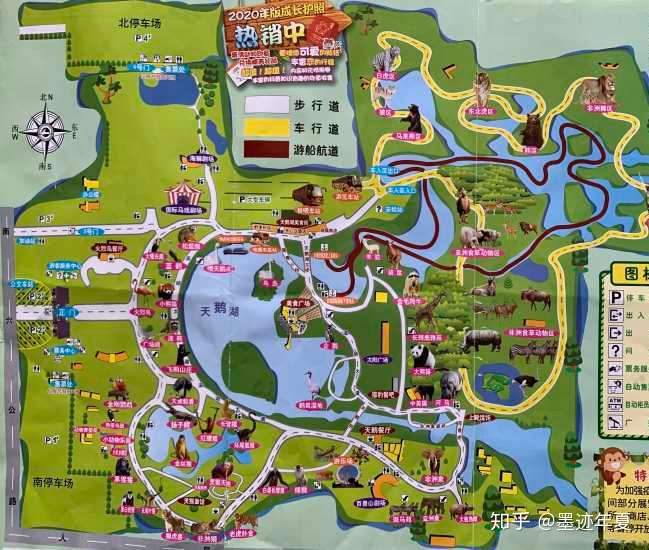 上海野生动物园一日游如何规划才好?