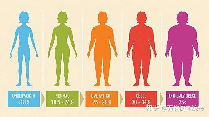 【医学&生物学】怎样才能做到既肥胖又健康?