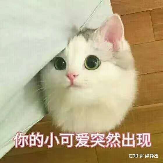 要不到钱就撒娇 学累了就诉诉苦 要做信守承诺的乖宝宝 抱抱家人