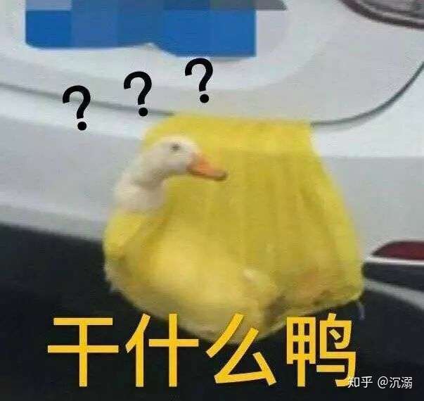 你有什么清奇有趣的表情包?