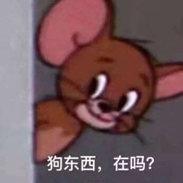 有哪些问女孩子在不在的表情包?