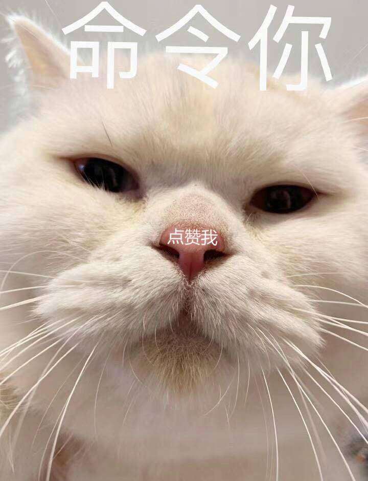 我是真的很想要 100个赞!我的人生好想体验一次那种被赞轰炸的感觉!